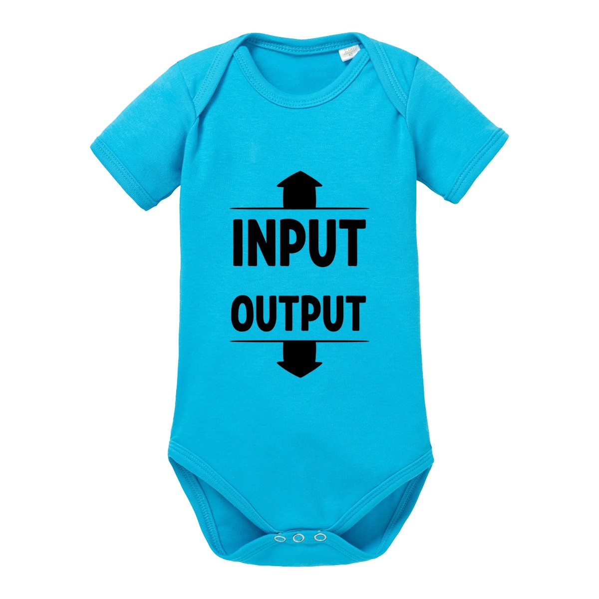 Babybody Modell: Input - Output